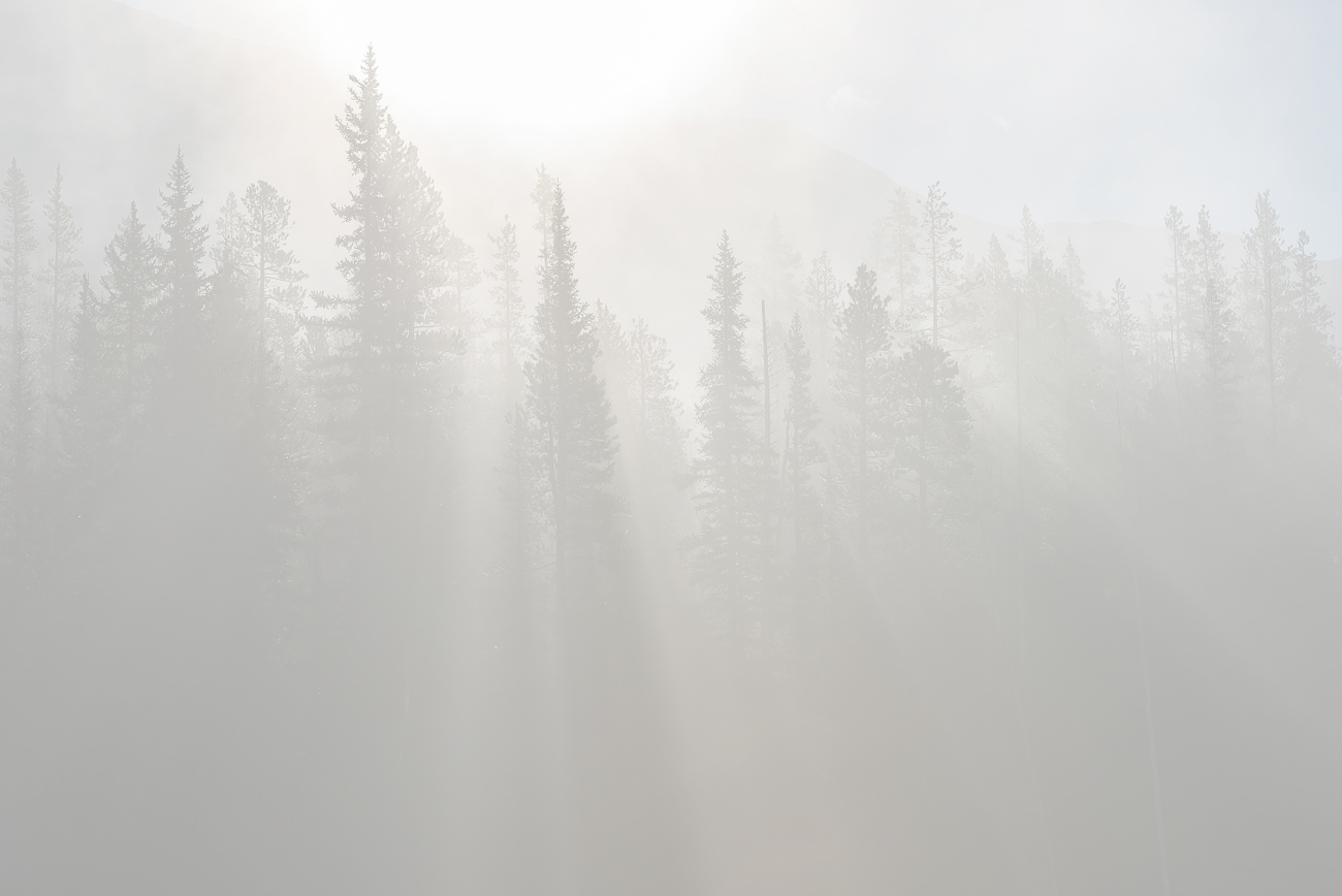 A new PM and the end of the carbon tax