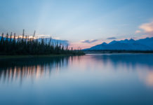 Public attitudes on conservation and the role of international and indigenous partnership.