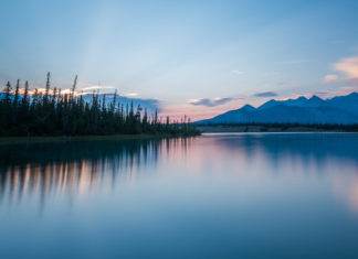 Public attitudes on conservation and the role of international and indigenous partnership.