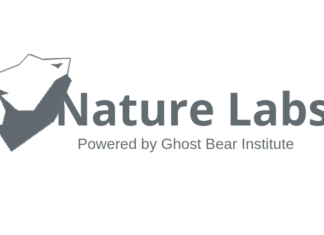 Getting to know Canada’s nonprofit sector: Why we need better data