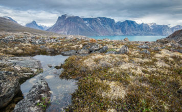 Territorial Elections & Arctic Sovereignty