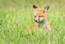 Our Board: Amanda Gierling