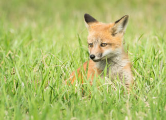 Our Board: Amanda Gierling