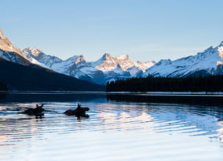 Nature at its finest