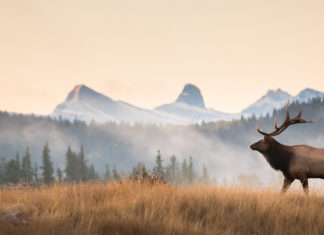 Launching a non-profit