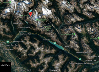 Tackling invasive issues in Robson and across BC