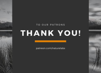 #ThankYouPatrons