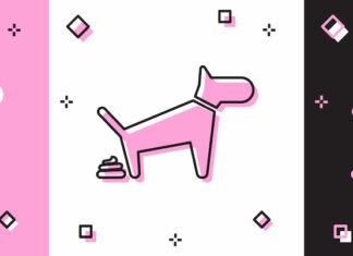 Stop buying crap, and companies will stop making crap