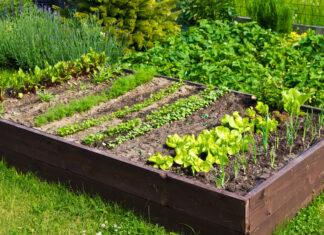 Growing a garden can also bloom eco-resilient, cross-cultural, food-sovereign communities