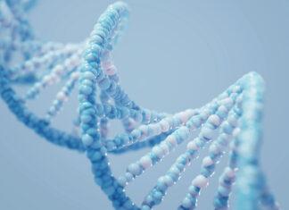 Study of more than 600 animal and plant species finds genetic diversity has declined globally