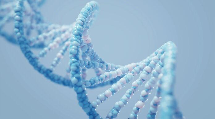 Study of more than 600 animal and plant species finds genetic diversity has declined globally