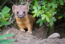 3 Ways To Make An Impact — Without Starting A Nonprofit