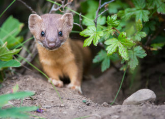 3 Ways To Make An Impact — Without Starting A Nonprofit