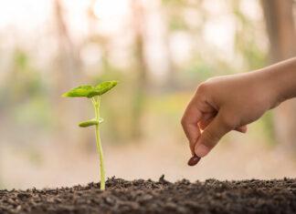 She’s Planting the Seeds of Indigenous Food Sovereignty