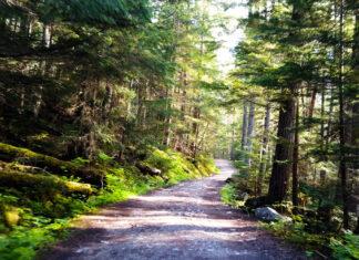 How the overhaul of a Gros Morne trail sparked a debate about the purpose of national parks
