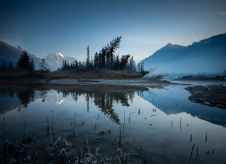 Indigenous partnerships hold the key to conserving Canada’s boreal forests