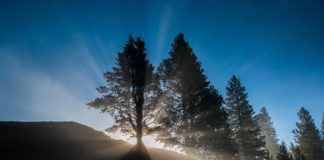 Giving and Taking Constructive Criticism