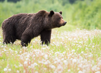 The Momentum of Hope