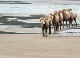 25 Tools for Building a Successful Movement