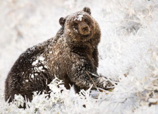 Give a gift with meaning: Six ways to support Nature Labs this holiday season.