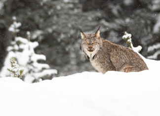 6 ways to give a gift with meaning!