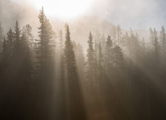 New Years Countdown Calendar