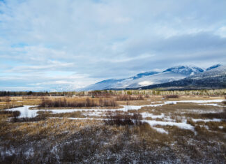 How to fight desertification and drought at home and away