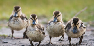 How to Stay Organized