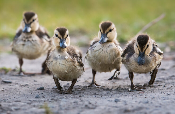 How to Stay Organized