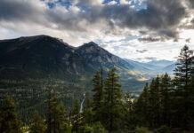 What is a bio blitz and how you can lead one: resources and guides