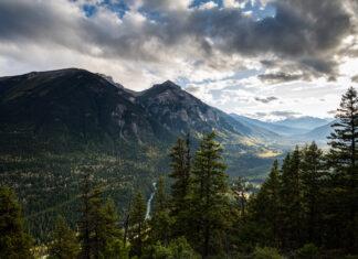 What is a bio blitz and how you can lead one: resources and guides