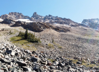 Mount Fitzwilliam Hike