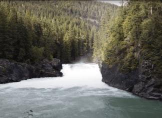 Nature is priceless, which is why turning it into ‘natural capital’ is wrong