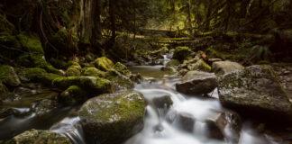 Conservation geopolitics