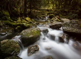 Conservation geopolitics