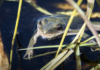 Canadian Environment Week – Day 5