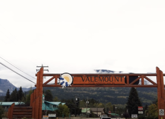 Grants for urban environmental projects