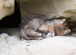 The Week That Was (Feb 3-7)