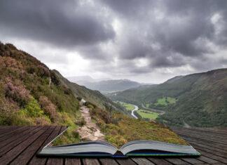 Applying Your Lessons