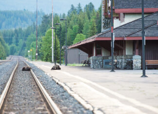 ‘Eco-colonialists’ blocking jobs and prosperity on First Nations, businessman says