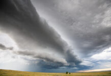 The glorification of failure