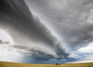 The glorification of failure