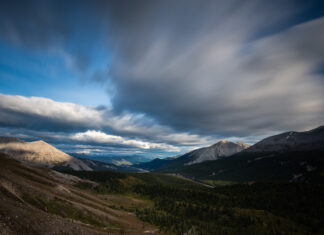 BC Election Update #5