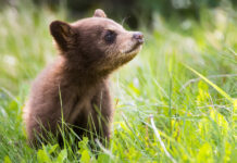 Happy International Day for Biological Diversity!