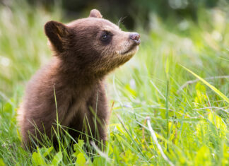 Stories from rising leaders