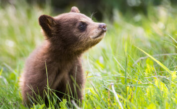 Happy International Day for Biological Diversity!