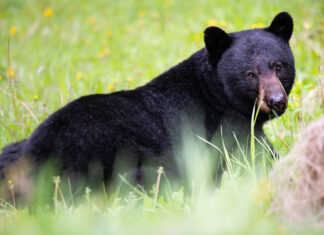 Manitoba In Person Experiences