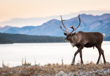 Explaining your world, today: A Supermajority, Tariff Threat, Social Media Ban and more!