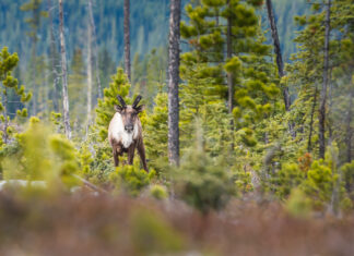 It’s International Day for Biological Diversity!