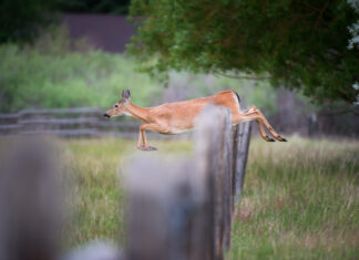 How to Overcome Obstacles